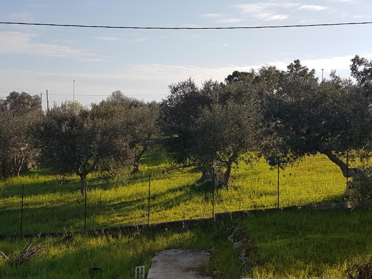 Appartamento Puccini Fasano Exteriör bild