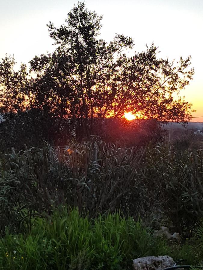 Appartamento Puccini Fasano Exteriör bild